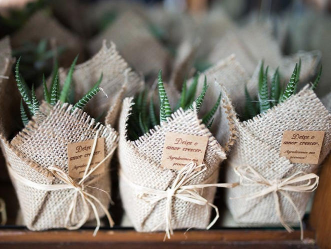 PLANT WRAPPER
