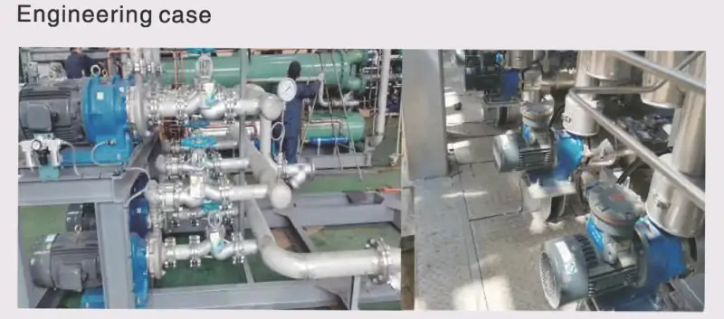 High Temperature Pump SUS 304 Features