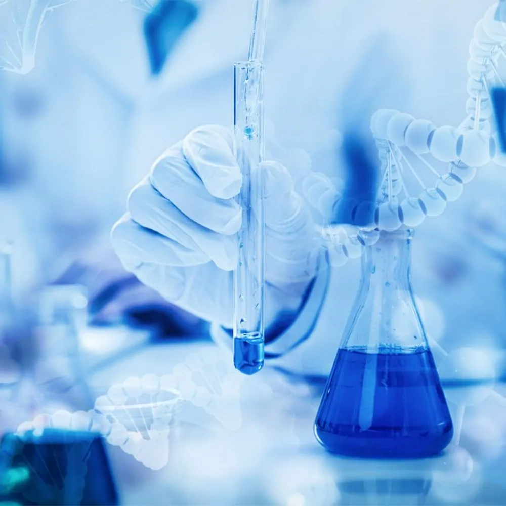 The Significance of Chemical Compatibility