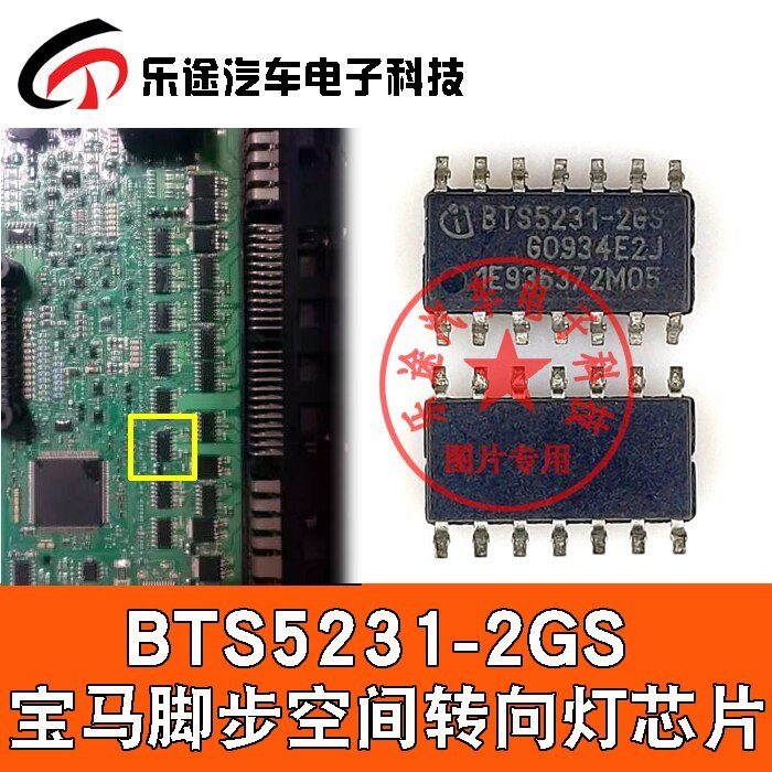 10PCS/lot BTS5231 BTS5231-2GS SOP-16 For BMW Footspace Turn Signal Chip IC