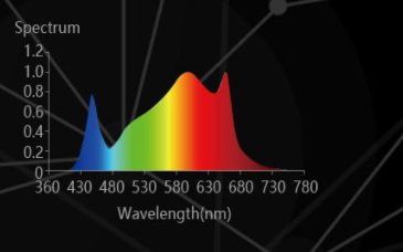 Sincoreのカスタムメイドのスペクトル
