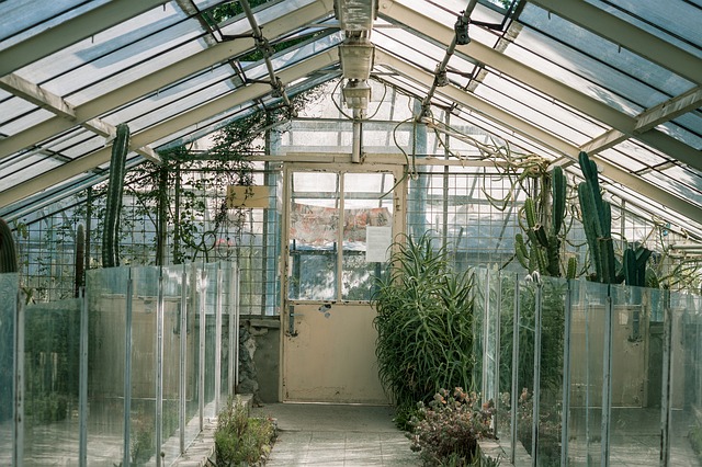 Are full-spectrum plant fill lights useful? Does it work?