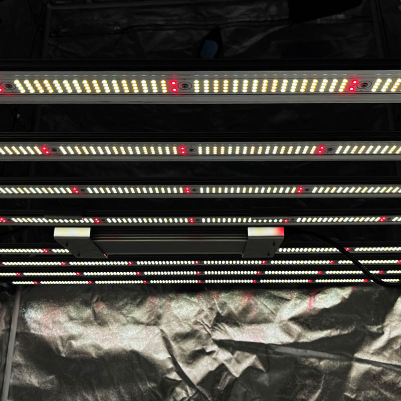 Two different applications for horticultural lighting