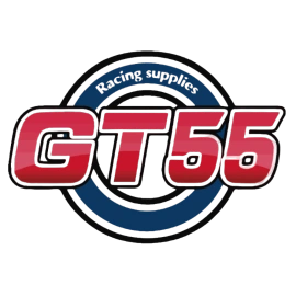GT55 Racing MINI-Z