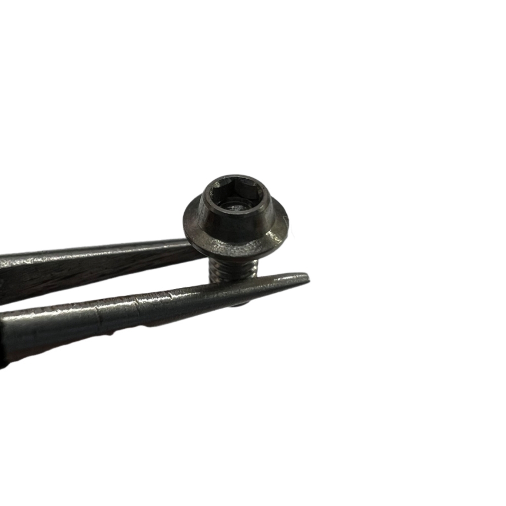 LS Studio TC4 TITANIUM M2 HIGH PRECISION UFO HEAD SOCKET SCREW (10 PCS)
