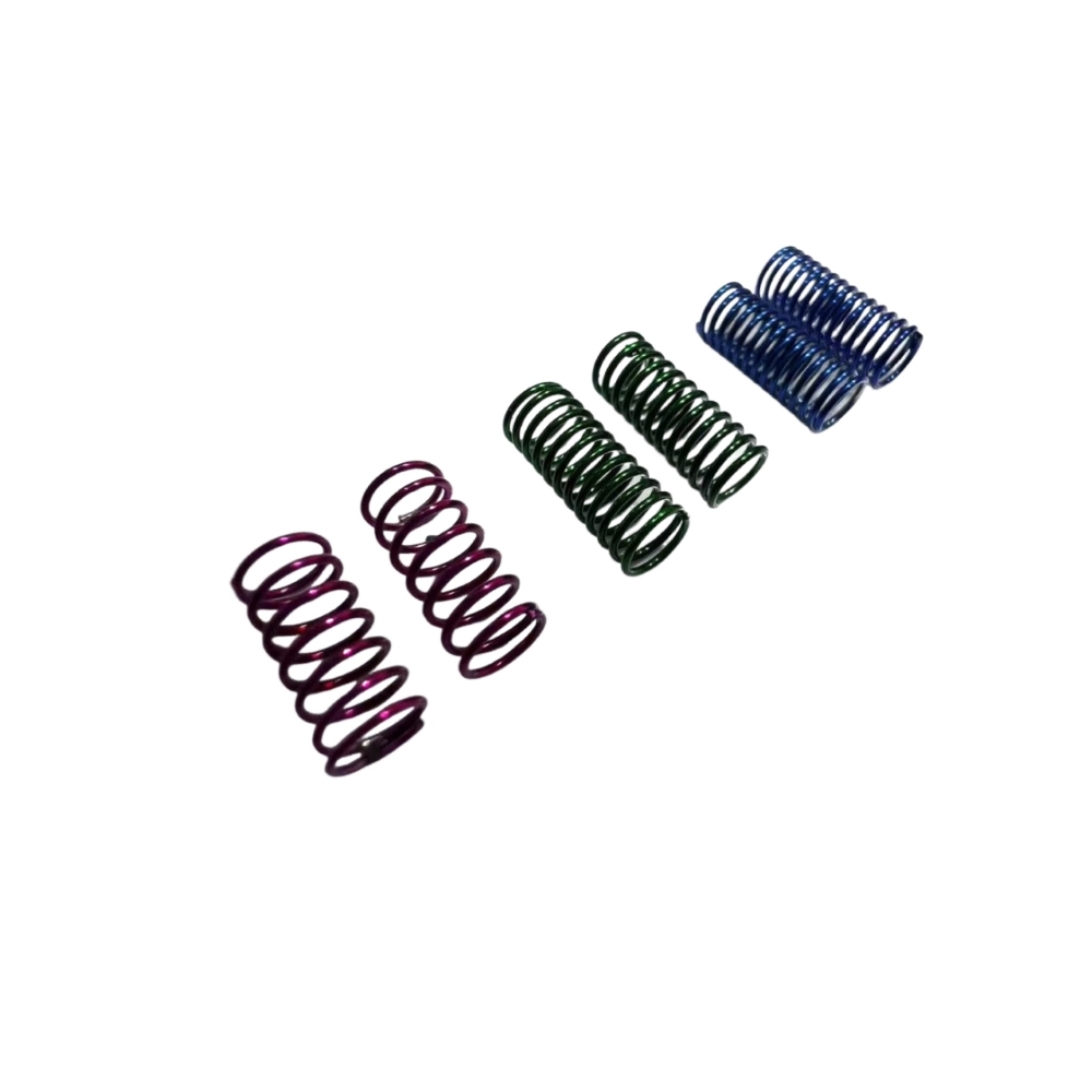 RTS Shock Spring SET