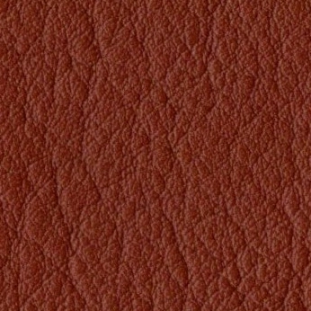 Cow Leather Natural