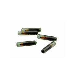 Original T5 glass chip