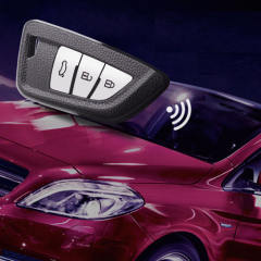 For Bmw 3 button TPU protective key case, please choose the color