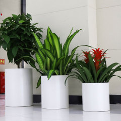 Stainless Steel Modern Outdoor Pots Planters