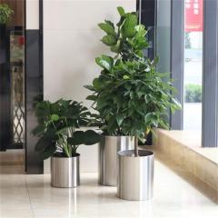 Stainless Steel Modern Outdoor Pots Planters