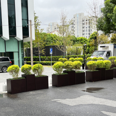 Simple Rectangle Matal Planter Box