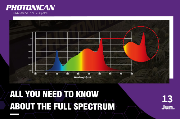 Four things every grower should know about full spectrum LED grow lights -  SpecGrade LED