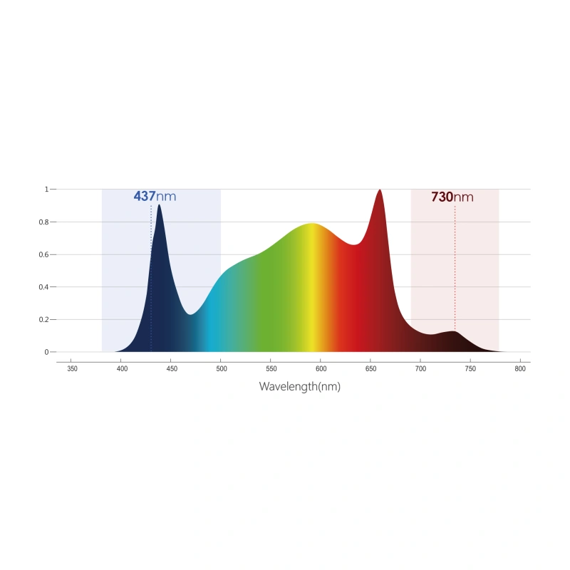 Aurora 2200 LED Grow Light 720W