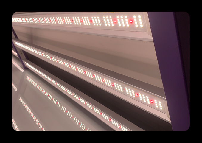 Aurora 2200 LED Grow Light