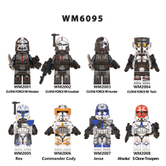 WM6095