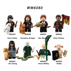 WM6040