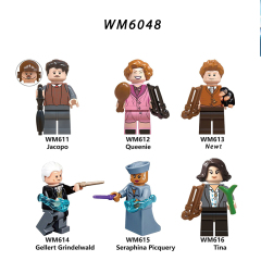WM6048