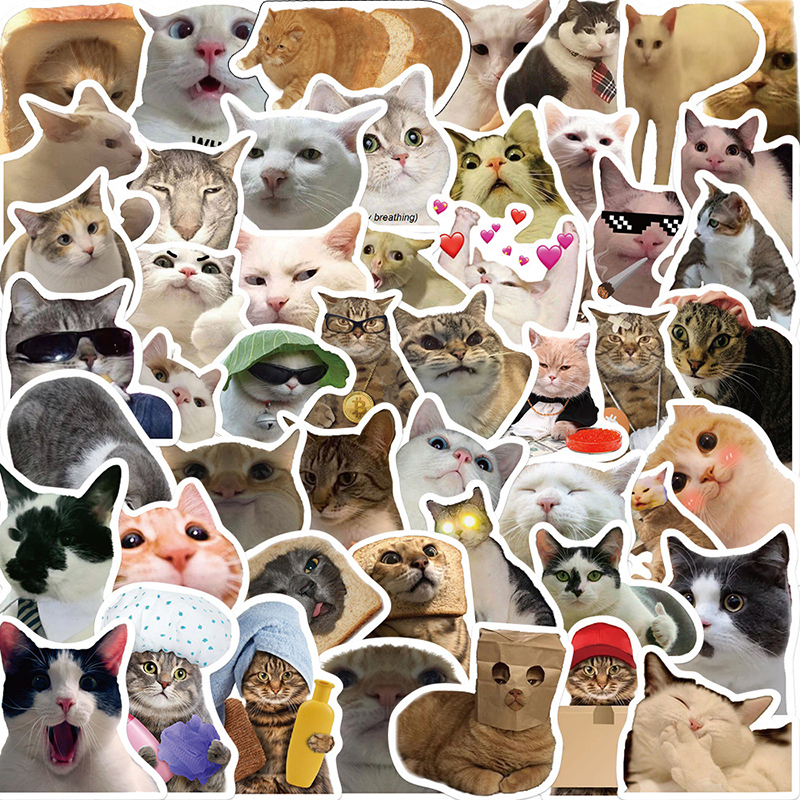 50 PCS Cute Meme Animal Cat Kitty Graffiti Stickers Skateboard Guitar Pencil Case Suitcase DIY Waterproof Toy Funny Decals Kids