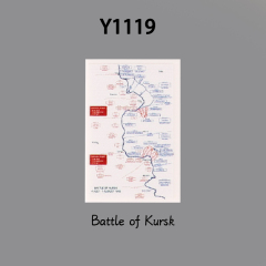 Y1119