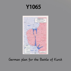 Y1065