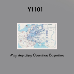 Y1101
