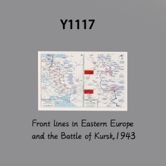 Y1117