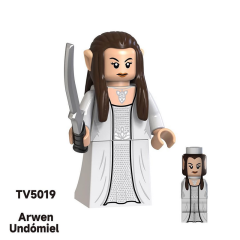 TV5019