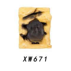 XW671
