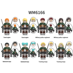 WM6166