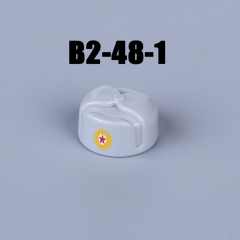 B2-48-1