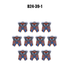 B24-39-1