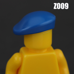 Z009