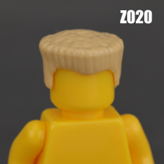 Z020