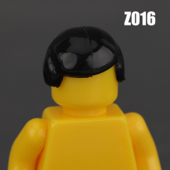 Z016