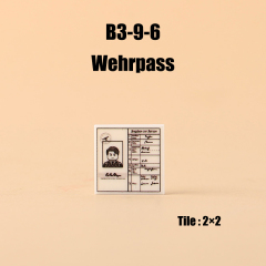 B3-9-6