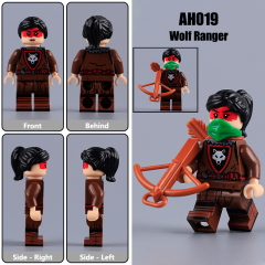 AH019