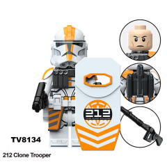 TV8134