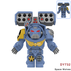 DY732