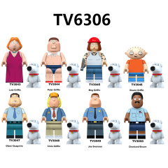 TV6306