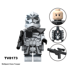 TV8173