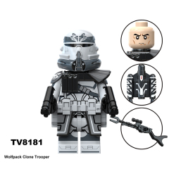 TV8181