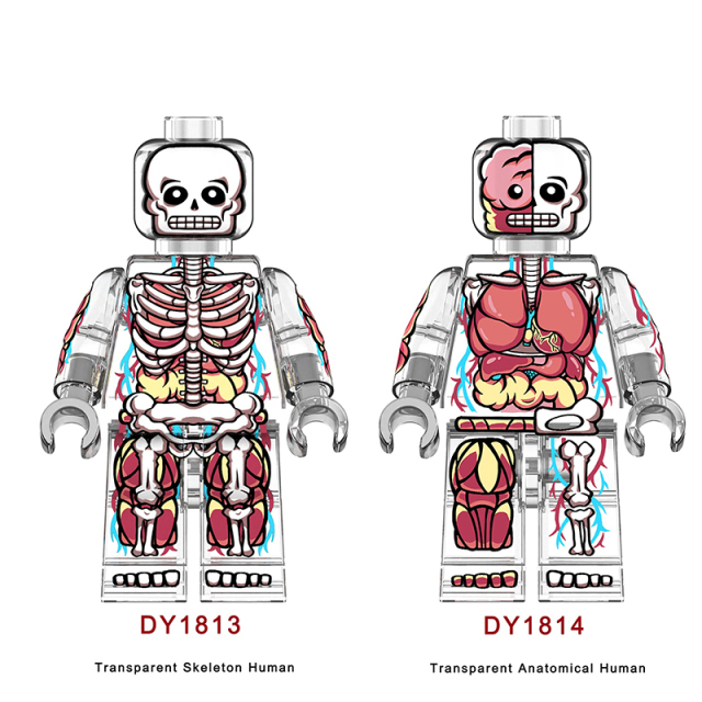 Transparent Anatomical Skeleton Minifigs Building Block Toy MOC Large Body Medical Model Toy Chilren Gifts DY1813 DY1814