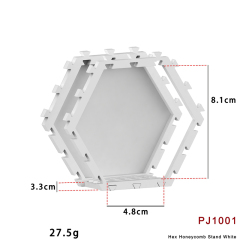 PJ1001