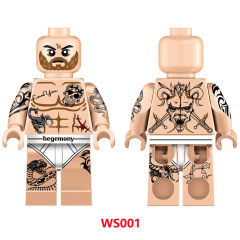WS001
