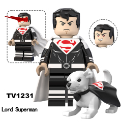 TV1231