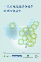 Study of China's Local Government Policy Instruments for Green Bonds