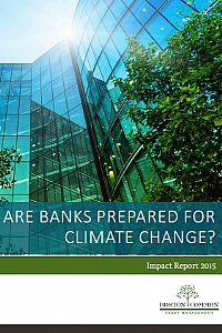 Are Banks prepared for Climate Change?