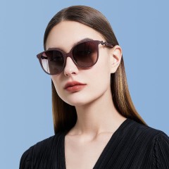 New Fashion Pc+ Metal Sunglasses Large Frame Sunglasses Round Frame Polarized Sunglasses