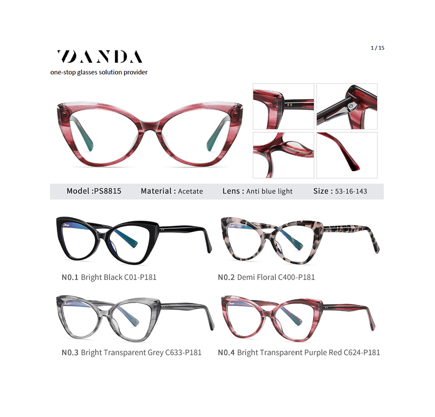 Eyeglasses Catalog, Product Catalogue, Special Customization Available